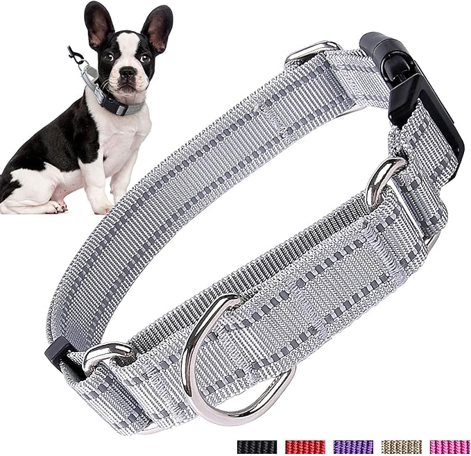 Hikiko Reflective Martingale Dog Collars for Large Dogs with Buckle Nylon Training Walking No Pull Collars, Sliver Gray, L