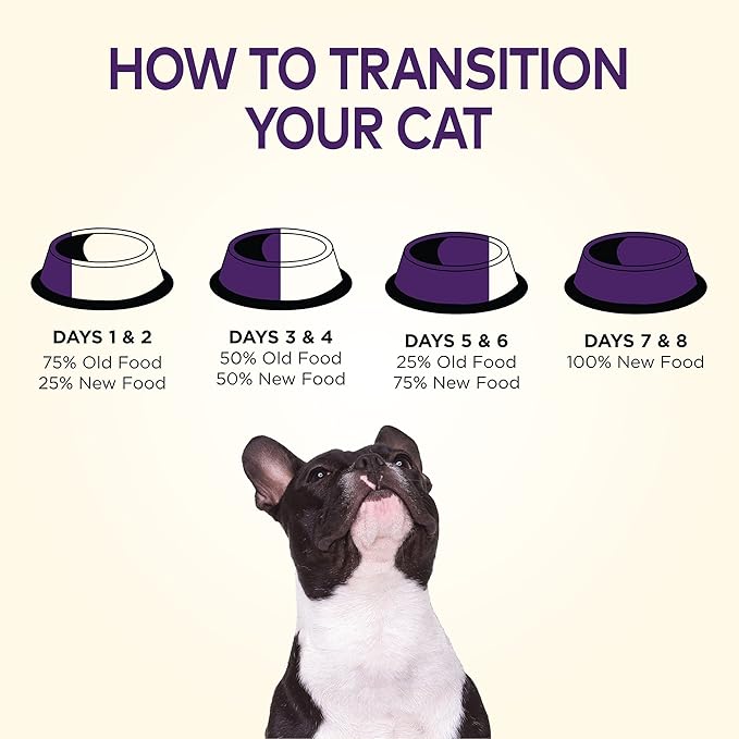 Wellness Complete Health Dry Dog Food, Small Breed, Grain Free, Natural, Turkey, Chicken, & Salmon Recipe (11-Pound Bag)