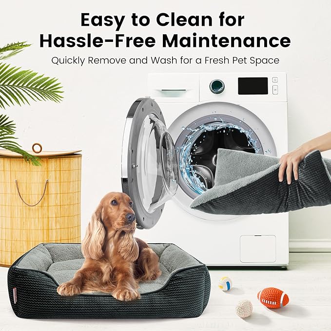 Miguel Washable Cat Beds for Indoor Cats with Removable Cushion/Pillow, Easy to Wash Small Dog Bed with Side, Large Rectangle Kitten Bed Cuddle Puppy Bed with Anti-Slip Bottom, Dark Gray 20 Inch