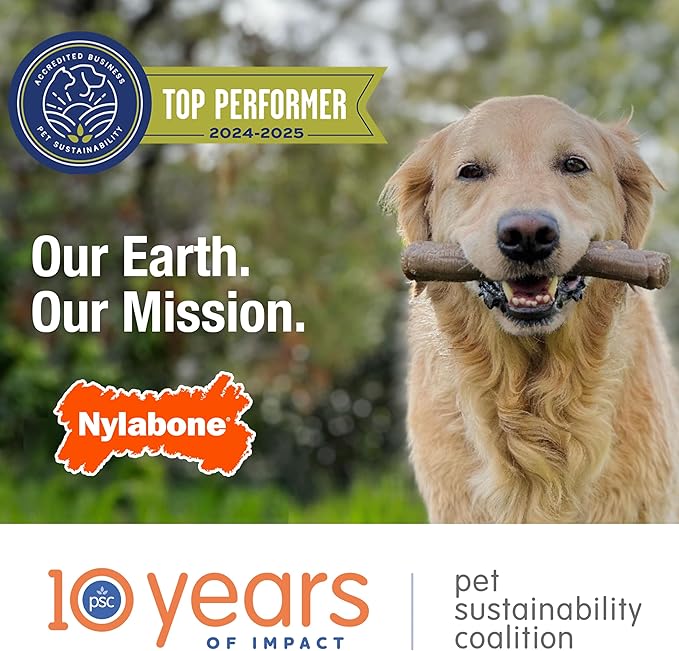 Nylabone Ergonomic Hold Wishbone Power Chew Toy for Dogs, Dog Toys for Aggressive Chewers, Bison Flavor, Small - Up to 25 Ibs, 1 Count