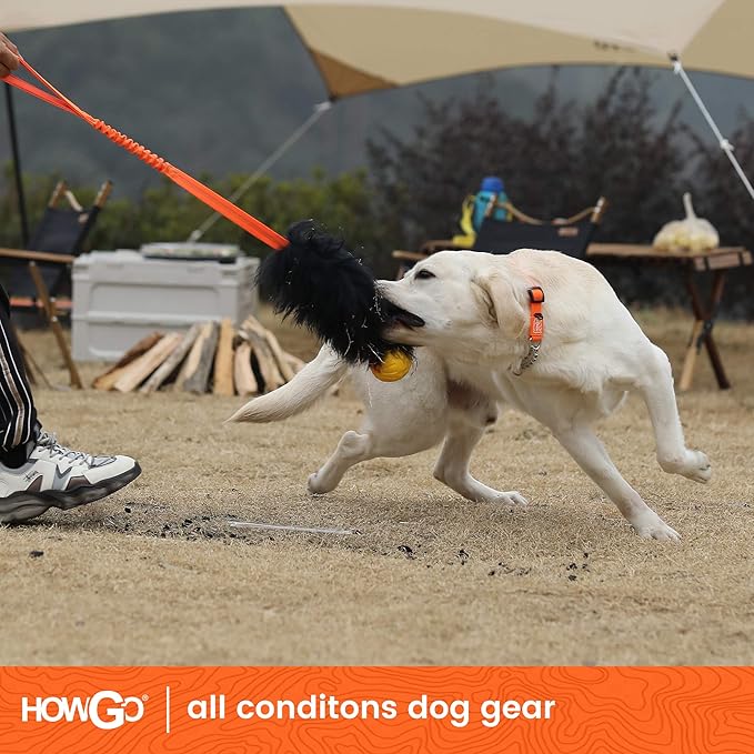HOWGO Dog Rope Toy,Dog Bungee Chaser Toy 100% Sheepskin,Sheep Smell Tug Toy for All Breeds (Orange, with Rubber Ball)