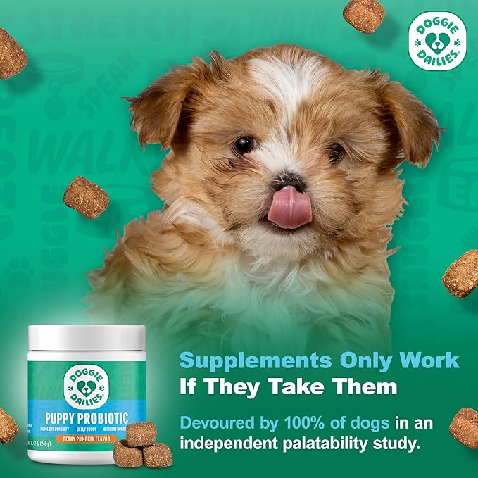 Doggie Dailies Puppy Probiotic, Probiotics for Puppies with Digestive Enzymes, Promotes Digestive Health, Supports Immune System & Overall Development (Pumpkin) 120 Soft Chews