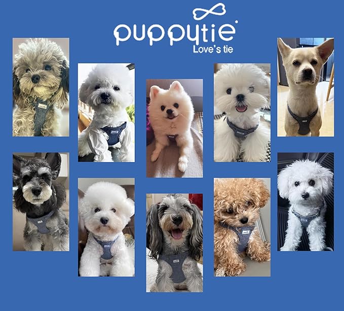 Puppytie No Pull Dog Harness with Multifunction Dog Leash,Soft Adjustable No Choke Escape Proof Pet Harness Vest for Medium Dogs,Denim Light Blue,M