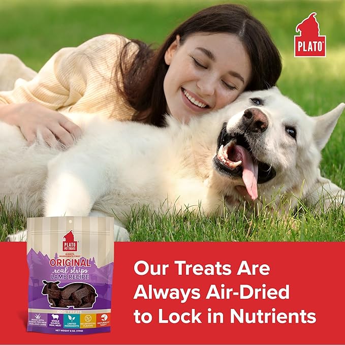 PLATO Pet Treats Real Strips - Air-Dried Meat Bars for Dogs - Delicious, Limited Ingredient Dog Treats - Grain Free - Original Real Strips Lamb 6oz