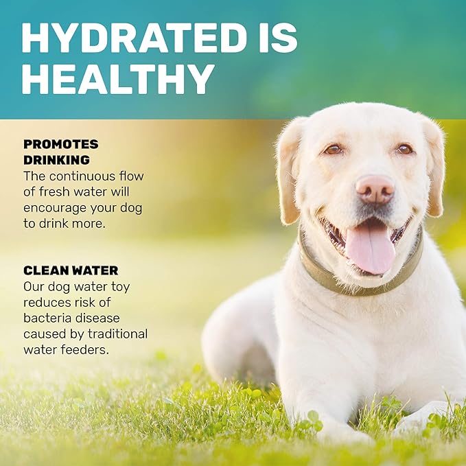 Scuddles Outdoor Dog Water Fountain – Step-On Sprinkler Toy with Stainless Steel Braided Hose, Copper Valve & Non-Slip Base, Easy Activation Hydration Station for Small, Medium & Large Dogs