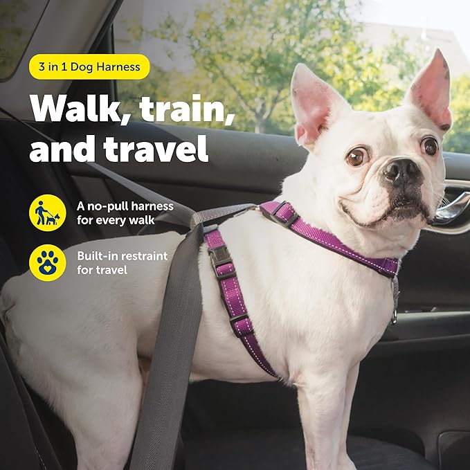 PetSafe 3 in 1 Dog Harness - No Pull Solution for Dogs - Reflective Dog Harness - Front D-Ring Clip Helps Stop Pulling - Comfortable Padded Straps - Top Handle Enhances Control - Plum - Small