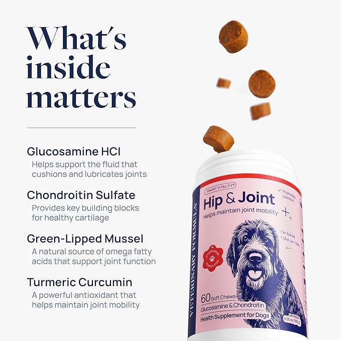 Veterinary Formula Smart Vitality Hip & Joint Supplement for Dogs with Glucosamine – Dog Joint Support, Dog Supplements for Mobility & Flexibility, 60ct