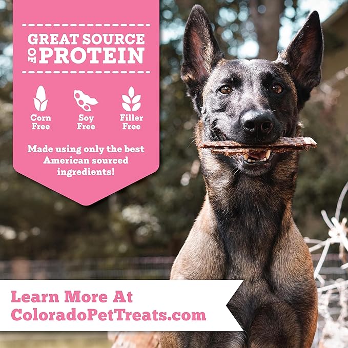 Fresh Field Pork & Apple Jerky Chips, 14 oz – All-Natural Dog Treats, USA Made, Supports Digestion & Nervous System