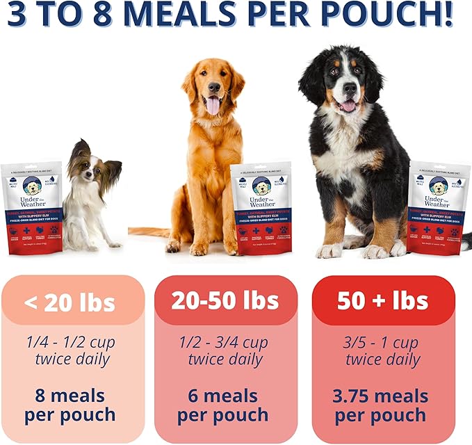 Under the Weather Bland Diet for Dogs | Easy to Digest Stomach Support for Sick Dogs | Contains Electrolytes, All Natural | 6 Pack - Turkey, Oatmeal, Sweet Potato & Slippery Elm - 6oz