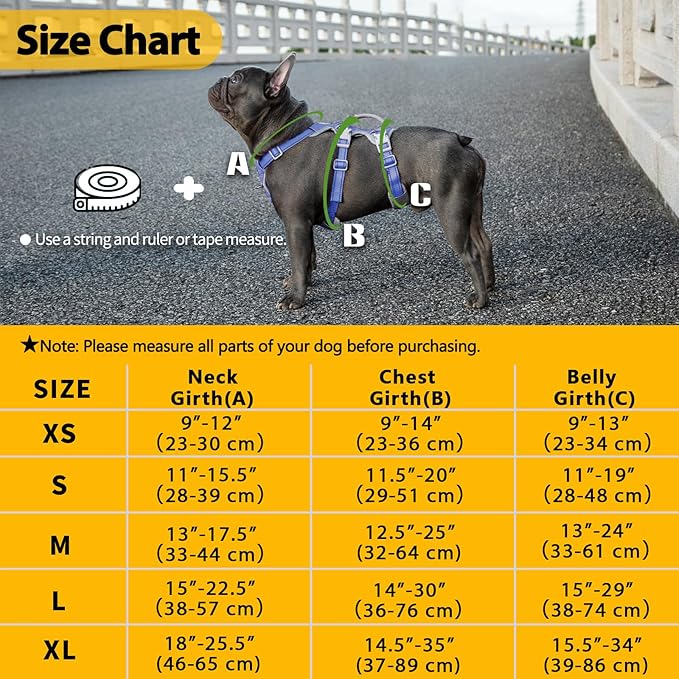 Huntboo Escape Proof Dog Harness, No Pull Reflective Harness with Lift Handle, Adjustable Pet Vest with Front and Back Leash Clips for Small Medium Large Dogs Walking Hiking Training (Vista Blue,XL)