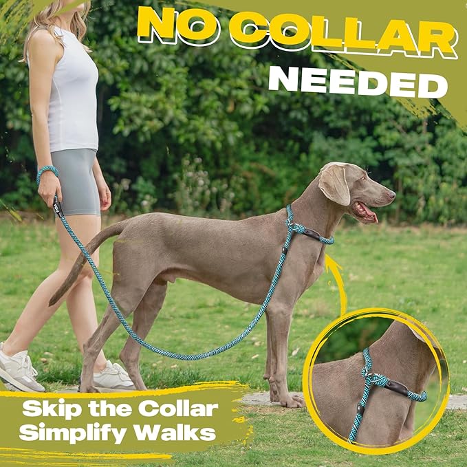 Fida Slip Leads for Dogs, 4 FT x 1/2" Heavy Duty Comfortable Strong Rope Leash for Large, Medium Dogs, No Pull Pet Training Leash with Highly Reflective, Blue