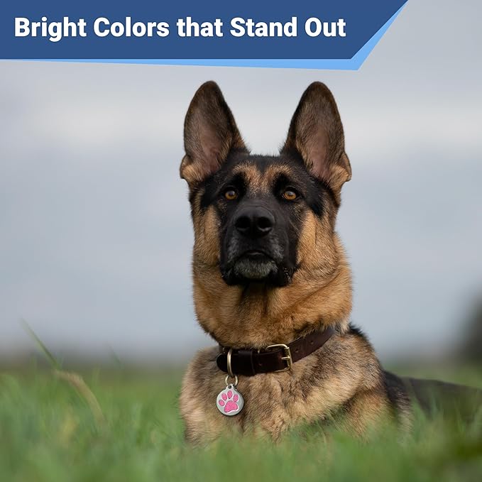 GoTags Paw Print Round Stainless Steel Pet Tag for Dogs and Cats, Personalized with 4 Lines of Custom Engraved ID with Silencer, in Stainless Steel and 15 Colors Small and Large, Glitter Blue