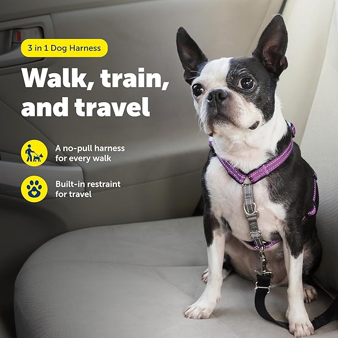 PetSafe 3 in 1 Dog Harness - No Pull Solution for Dogs - Reflective Dog Harness - Front D-Ring Clip Helps Stop Pulling - Comfortable Padded Straps - Top Handle Enhances Control - Plum - Extra Small