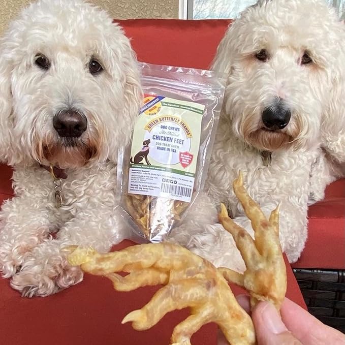 Green Butterfly Chicken Feet Dog Treats - 100% All Natural Single Ingredient Dental Chews for Dogs Made in USA from Farm Raised American Chickens - Rich in Glucosamine for Joint Health (10 Pack)