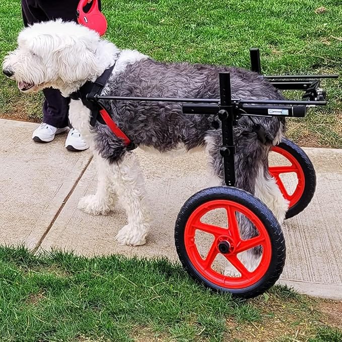 Dog Wheelchair