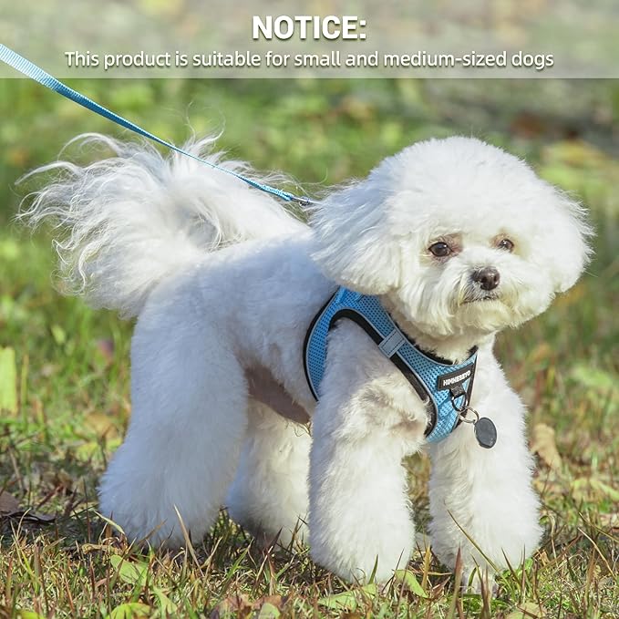 Dog Harness and Leash Set, Dog Harness for Dogs No Pull, No-Chock Step-in Reflective Breathable Lightweight Easy Walk Vest Harnesses with Safety Buckle for Small Medium Dogs, Cats (Light Blue, XS)