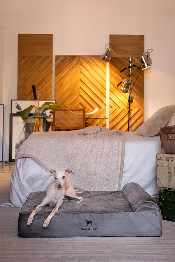 NOAH & PAW Large Dog Bed, 35x25x8.7 Inch, Orthopedic Dog Beds, Eggshell Memory Foam Infused with Cooling Gel, Waterproof, Machine Washable, Includes Inner Cover (Velvet Collection)