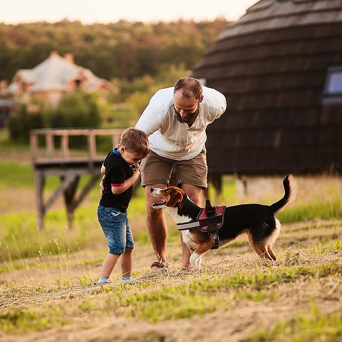 Dogline Dog Harness, Reflective No-Pull Adjustable Vest with Handle for Walking, Training, Breathable, No - Choke Harness for Small, Medium or Large Dogs Room for Patches Zebra Black/Red L 27"-34"