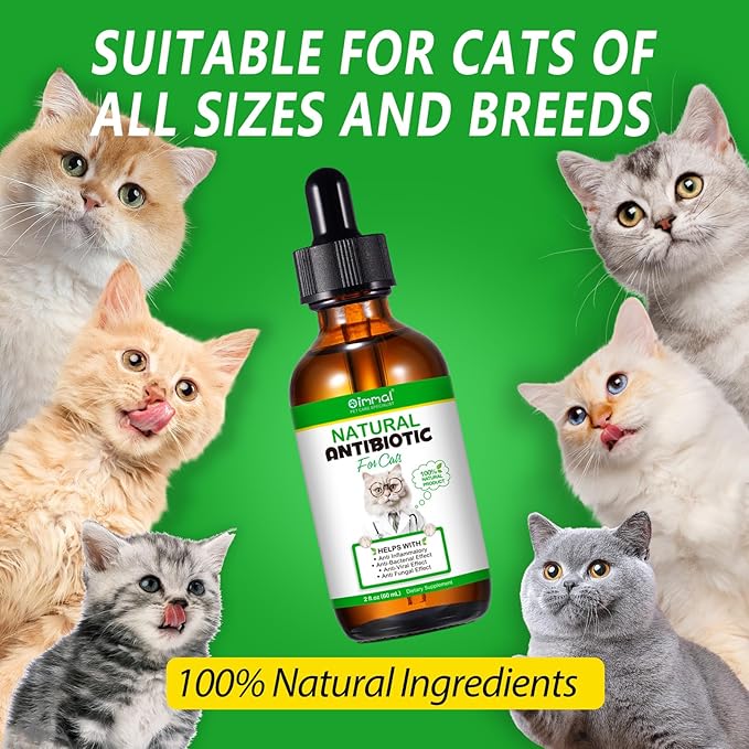 Natural Antibiotics for Cats, Antibiotic Liquid Drops Helps Immune System, Cat Antibiotic Supports Allergy Relief, Itching & UTI, Pet Health Supplies Multivitamins, Chicken Flavour - 4 Fl Oz / 2 Pack