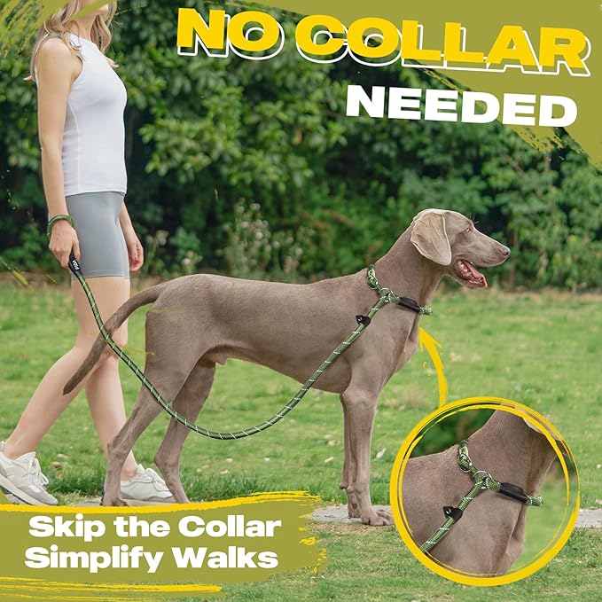 Fida Slip Leads for Dogs - 4 FT x 1/2" Heavy Duty Comfortable Strong Rope Leash for Large, Medium Dogs - No Pull Pet Training Leash with Highly Reflective, Green