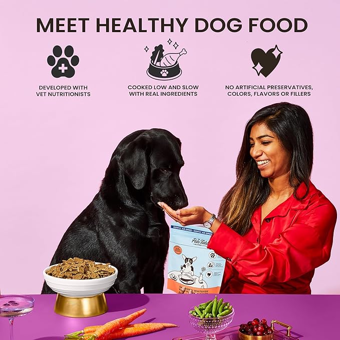 The Pets Table Salmon & Whitefish with Pumpkin Grain Free Air Dried Dog Food, 1 lb / 16 oz Bag