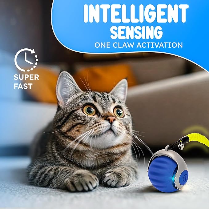 Turbo Tail 3.0 Cat Toy (2-Pack) – 2025 Smart Interactive Cat Toy Ball, Speedy Motion-Activated Toy for Indoor Cats, Rechargeable & Durable Design (Orange & Blue)