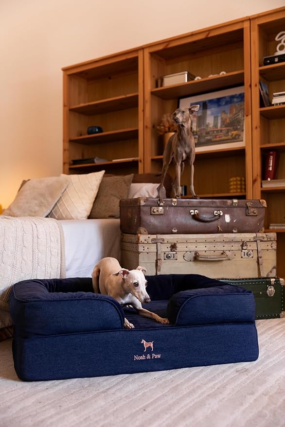 NOAH & PAW Large Dog Bed, 35x25x11 Inch, Orthopedic Dog Beds, Eggshell Memory Foam Infused with Cooling Gel, Inner Cover, Waterproof, Machine Washable (Denim Sofa Collection)