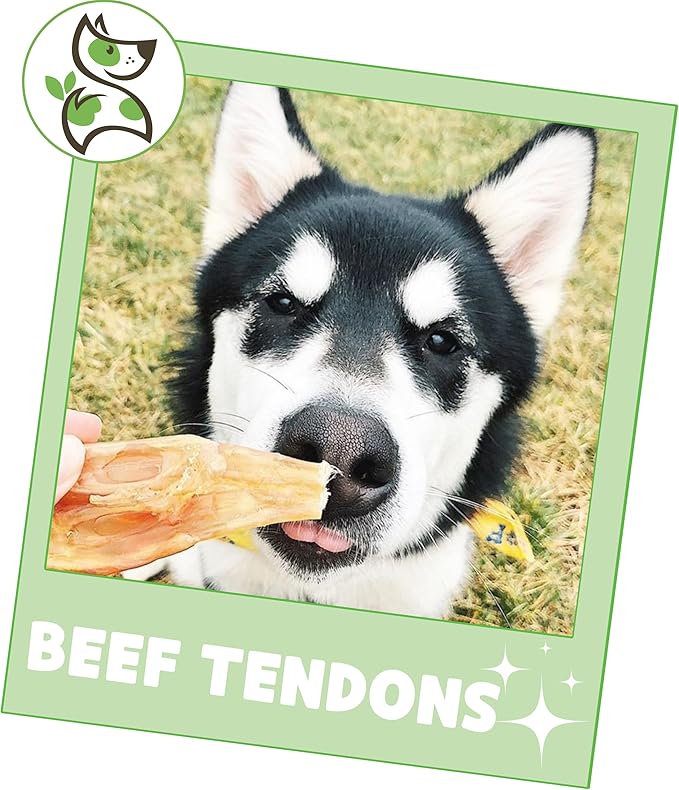 Nature Gnaws Beef Tendons for Dogs (8oz) - Mixed Thickness - Long Lasting for Small and Medium Dogs - Natural Beef Jerky Dog Chew Bones - Rawhide Free