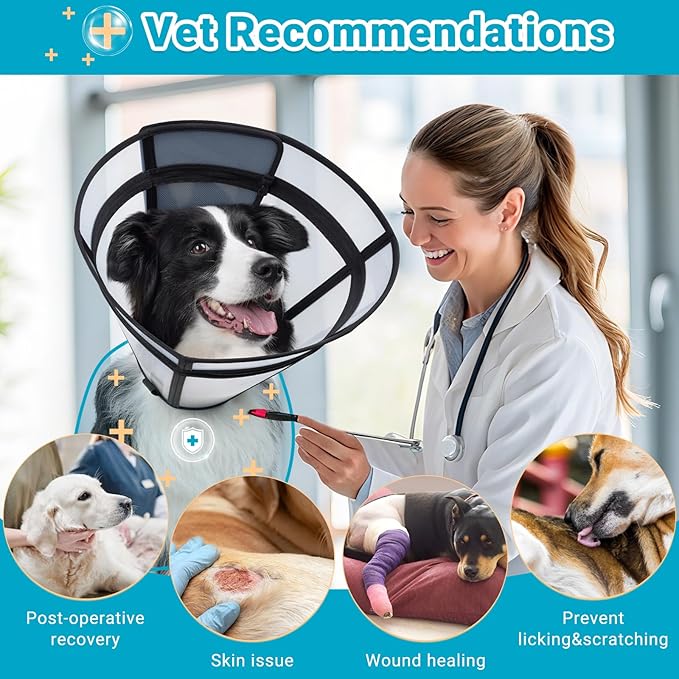 Dog Cone, Transparent Recovery Collar for Large Medium Small Pets, Adjustable Length, Soft Cone for Dogs to Stop Licking, Padded Elizabethan Collar with Elastic Loops After Surgery Patented