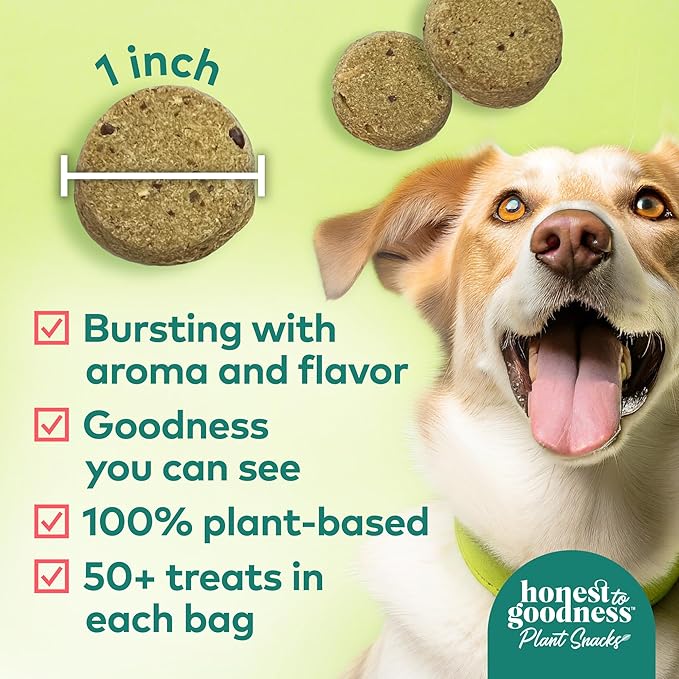 Honest to Goodness Plant Snacks Happy Feet Apple & Cinnamon Recipe Dog Treats, Enriched with Omega 3s & Postbiotics, 8oz