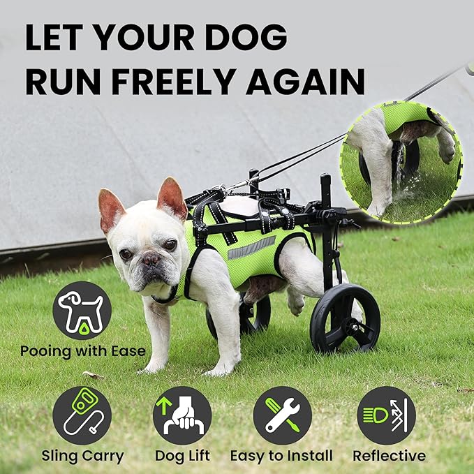 Dog Wheelchair for Back Legs - Lightweight Mobility Cart for Medium Breed Dogs with Disabled, Injured, or Arthritic Hind Legs - Includes High-Visibility Vest, Leash & Sling Lift (ML)