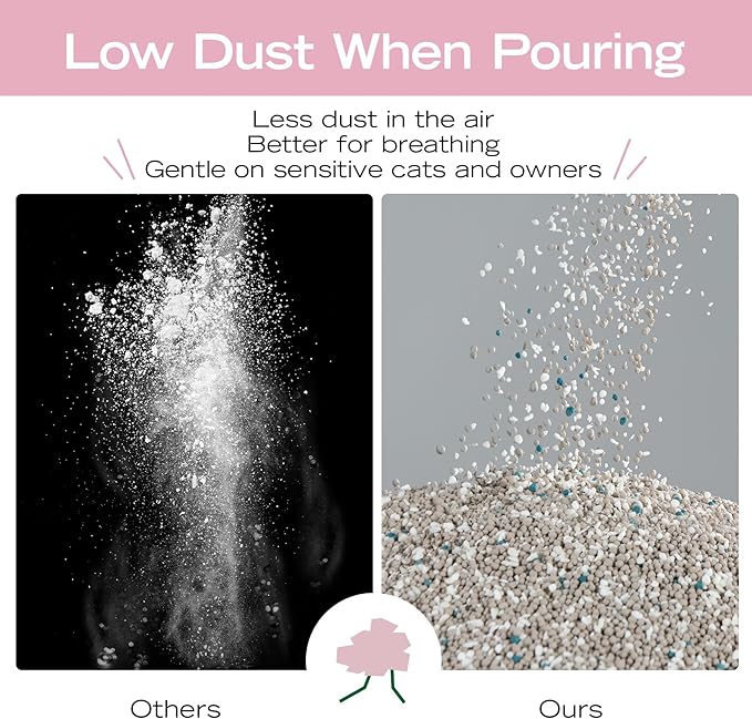 Corn & Bentonite Cat Litter, Strong Clumping Litter, Odor Control, Easy Scooping, Clumps Lift Cleanly, Low Dust, 5.5 LB x 3 Bags