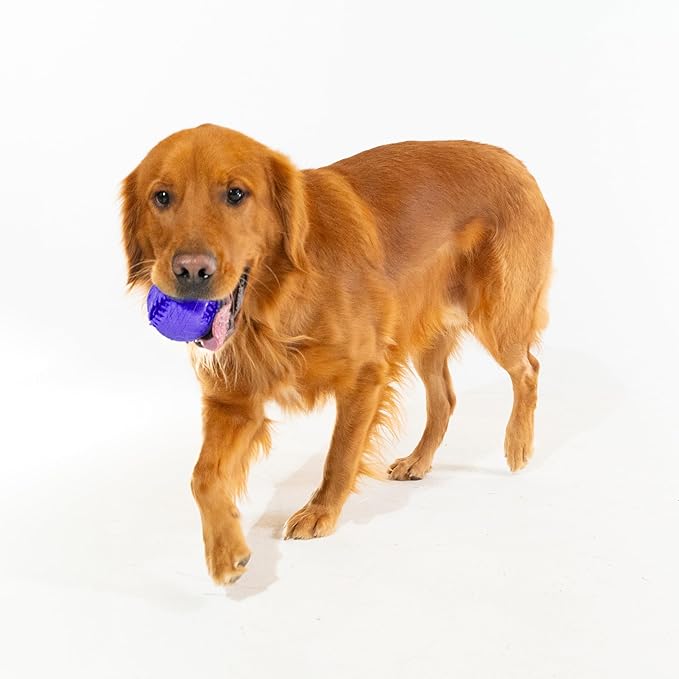 Playology Dog Toys | Dental Chew Ball Gentle on Gums | Jumbo Pork Sausage Scented Toy - Easy to Clean and Made from Non Toxic Materials
