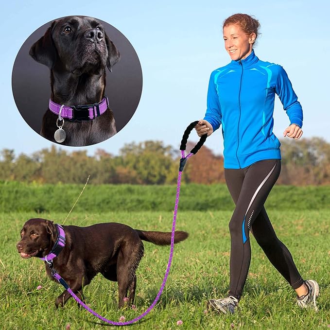 Reflective Dog Collar Padded with Soft Neoprene Breathable Adjustable Nylon Dog Collars for Small Medium Large Dogs (Large (Pack of 1), Purple Collar+Leash)