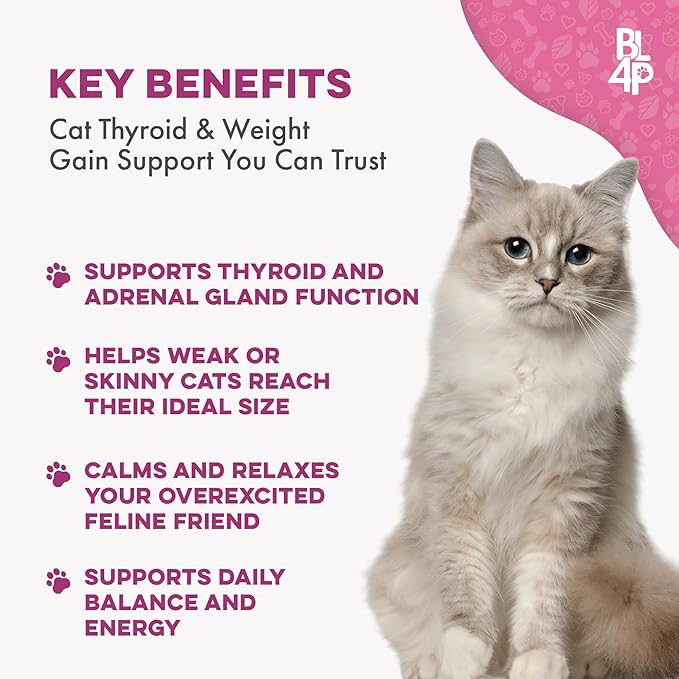 Cat Hyperthyroid & Gentle Weight Gain Support for Cats and Kittens - Natural Feline Thyroid Balance for All Ages in Odorless Easy to Use Tiny Pills That Improve Appetite, Coat & Energy (400 Pills)