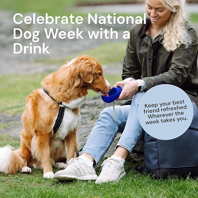 MalsiPree Dog Water Bottle Portable - 19 Oz, Navy Blue - Leak-Proof One-Hand Hydration Valve with Built-in Bowl - Travel Dog Water Bowl & Pet Bottle Dispenser