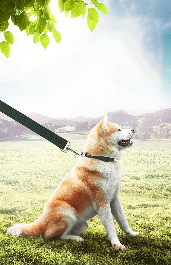 PETGOGO 15ft 20ft 30ft 40ft 50ft Long Dog/Puppy Lead Obedience Recall Training Dog Leashes for Small Medium Dogs Camping, Training, Play, or Backyard (Green, 1" x 20FT)