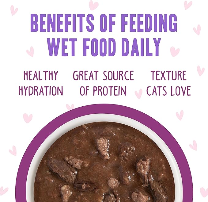 B.F.F. OMG - Best Feline Friend Oh My Gravy!, Tuna & Beef Belly Rubs with Tuna & Beef, 2.8oz Can (Pack of 12)