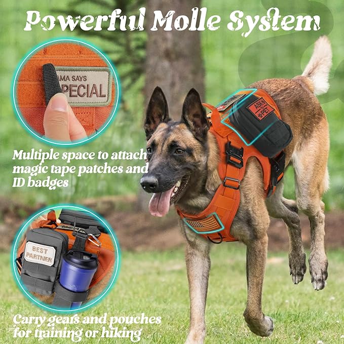 rabbitgoo Tactical Dog Harness for Small, Heavy Duty Pet Harness with Handle, No-Pull Service Vest Small Breed, Adjustable Military Dog Vest for Training Hunting Walking, Orange, S