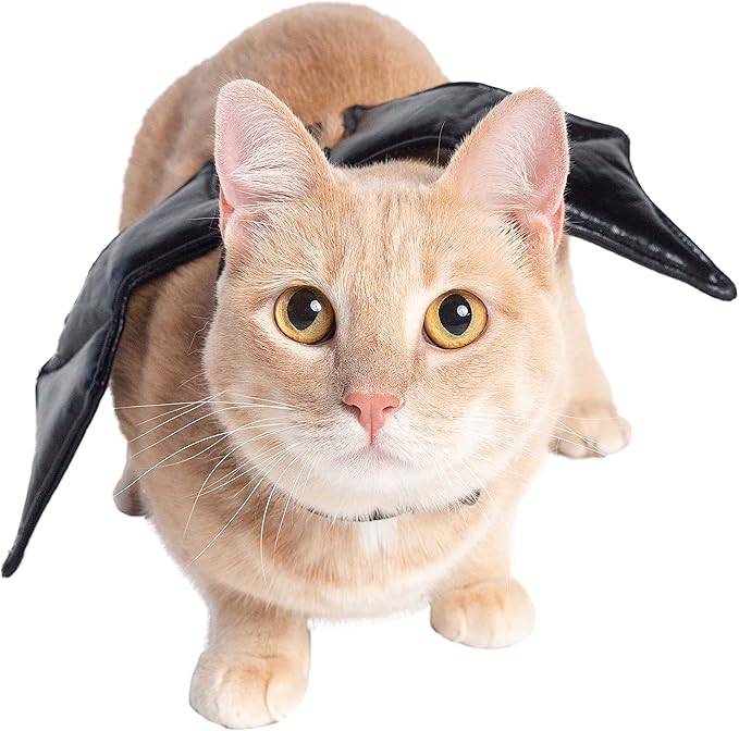 Pet Krewe Bat Cat Costume - Bat Wings - Harness Attachment, One Size Fits All - Perfect for Halloween, Christmas Holiday, Parties, Photoshoots, Gifts for Dog Lovers (One Size)