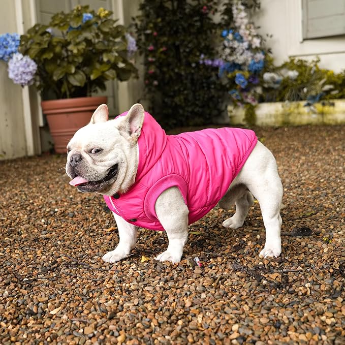 Lining Extra Warm Dog Hoodie in Winter for Large Dogs Jacket Pet Coats with Hooded Pink XXL