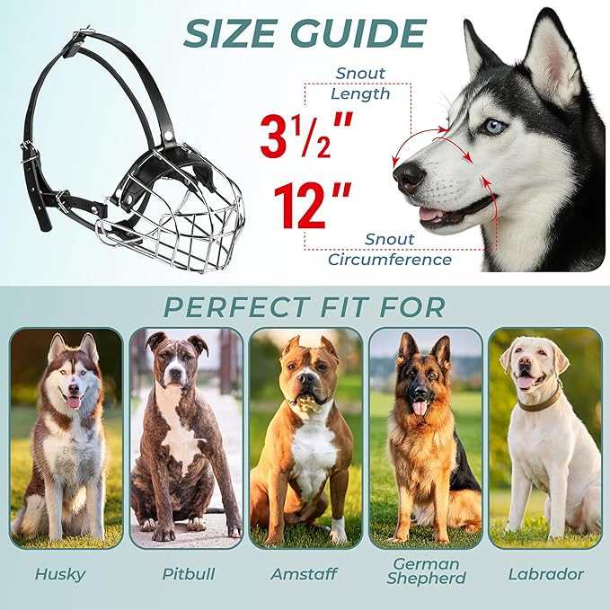 Metal Husky Muzzle for Large Sized Dog – Basket Muzzle for Dogs with Adjustable Leather Straps – Steel Cage Dog Muzzle to Prevent Biting and Eating – Mouth Guard for Large and Medium Dogs
