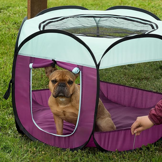Furhaven Portable Dog Playpen Cat Tent, Pet Playground/Kennel Foldable Indoor Outdoor Zippered Puppy Crate - Purple, Small