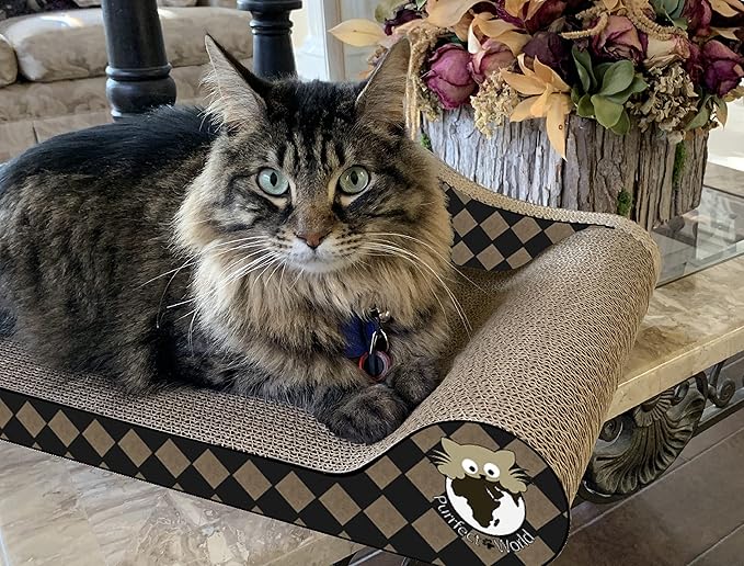 Cat Scratcher - Lounge - Checker Board - 2 Pack