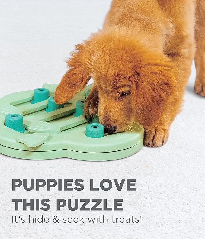 Outward Hound by Nina Ottosson Puppy Hide N' Slide Treat Puzzle Enrichment Dog Toy, Green