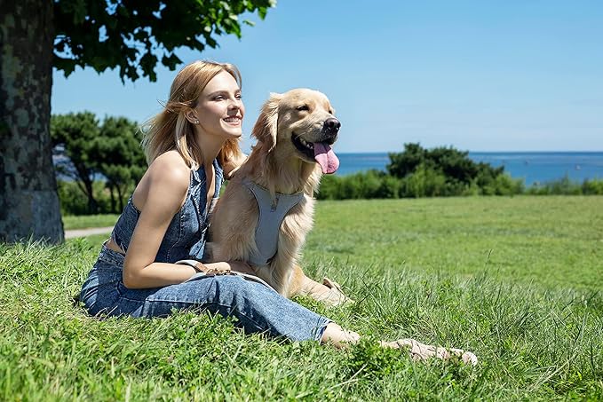 Dog Harness, No Pull Dogs Harness and Multi-Function Leash Set for Medium Dogs Easy Walk Everyday Adjustable Soft Dog Vest Harness Fashionable Dog Accessories Grey Blue-Button-Slim Large