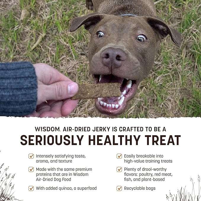 Earth Animal Wisdom Air-Dried from The Soil Recipe Premium Natural Insect-Based Jerky Strips Dog Treats, 4 oz. Bag (Pack of 3)