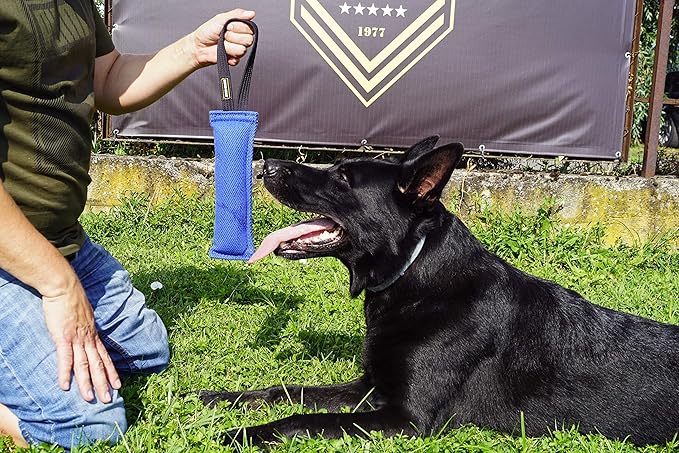 Dingo Gear Nylcot Bite Tug for Dog Training K9 IGP & Fun, 1 Handle, Orange 28 x 7 cm