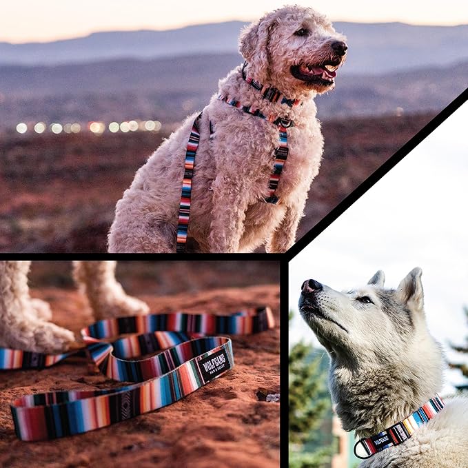 Wolfgang Heavy Duty Adjustable Dog Harness, Pull-Tested to Over 800 lbs for Walking & Training, LostArt Print, Extra Large