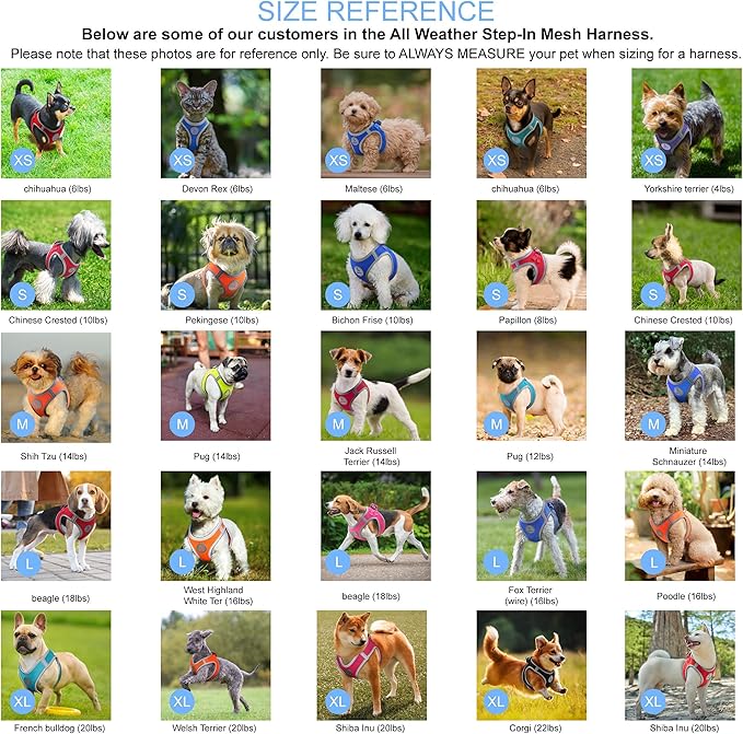 Dog Harness (Chest 18.5"-19.5", Weight 15–20 lbs) Athletica Adjustable Heavy Duty No Choke Puppy Vest for Small Dogs Lightweight Air Mesh, Reflective, Puppy Essentials – Blue, Large